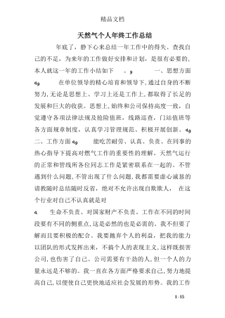 2024年天然气个人年终工作总结