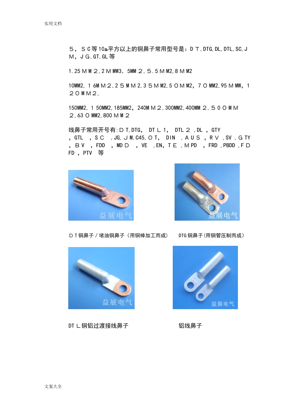 2024年铜线鼻子规格及铜鼻子型号_第2页