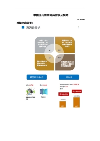 2024年完成中国医药跨境电商模式资料