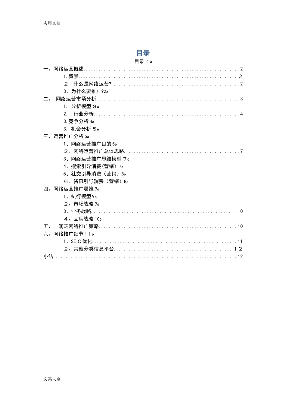 2024年网络运营推广方案设计_第2页