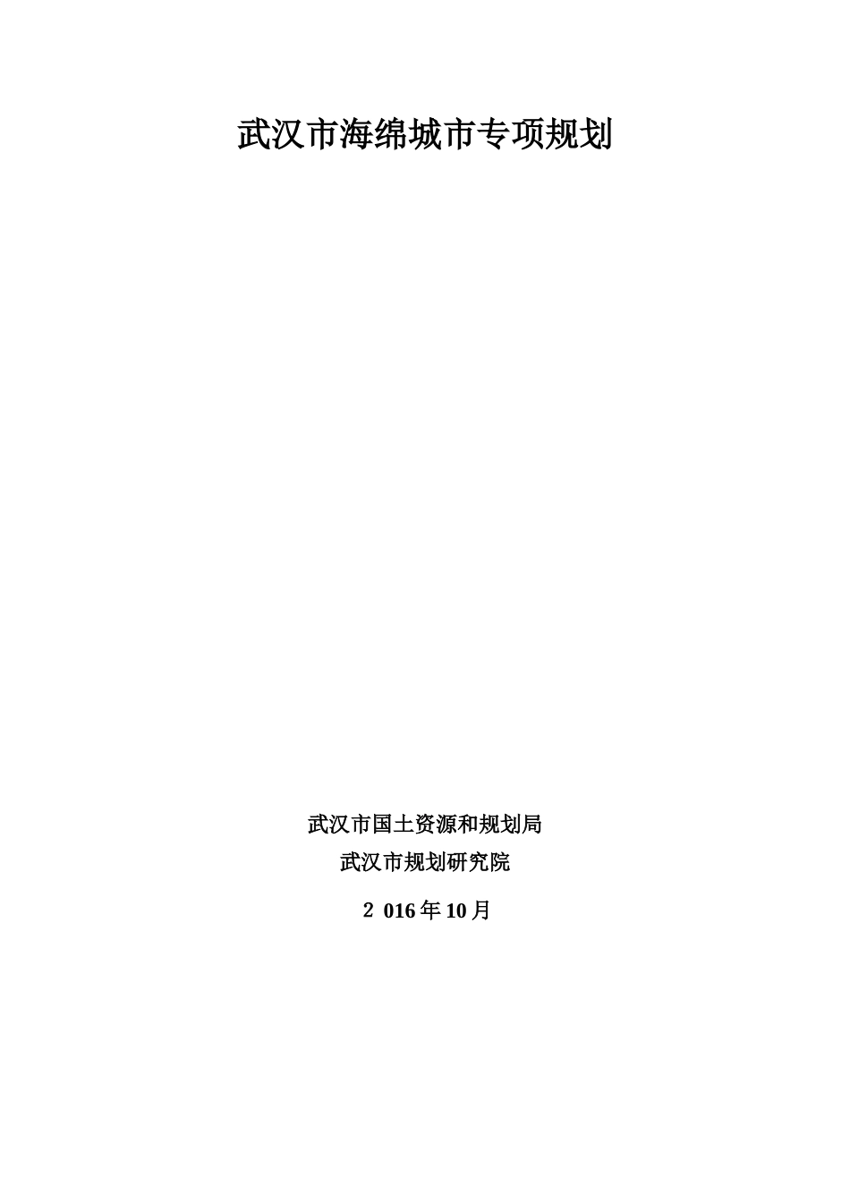 2024年武汉市海绵城市专项规划_第1页