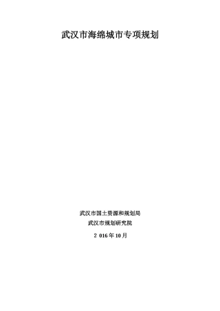 2024年武汉市海绵城市专项规划