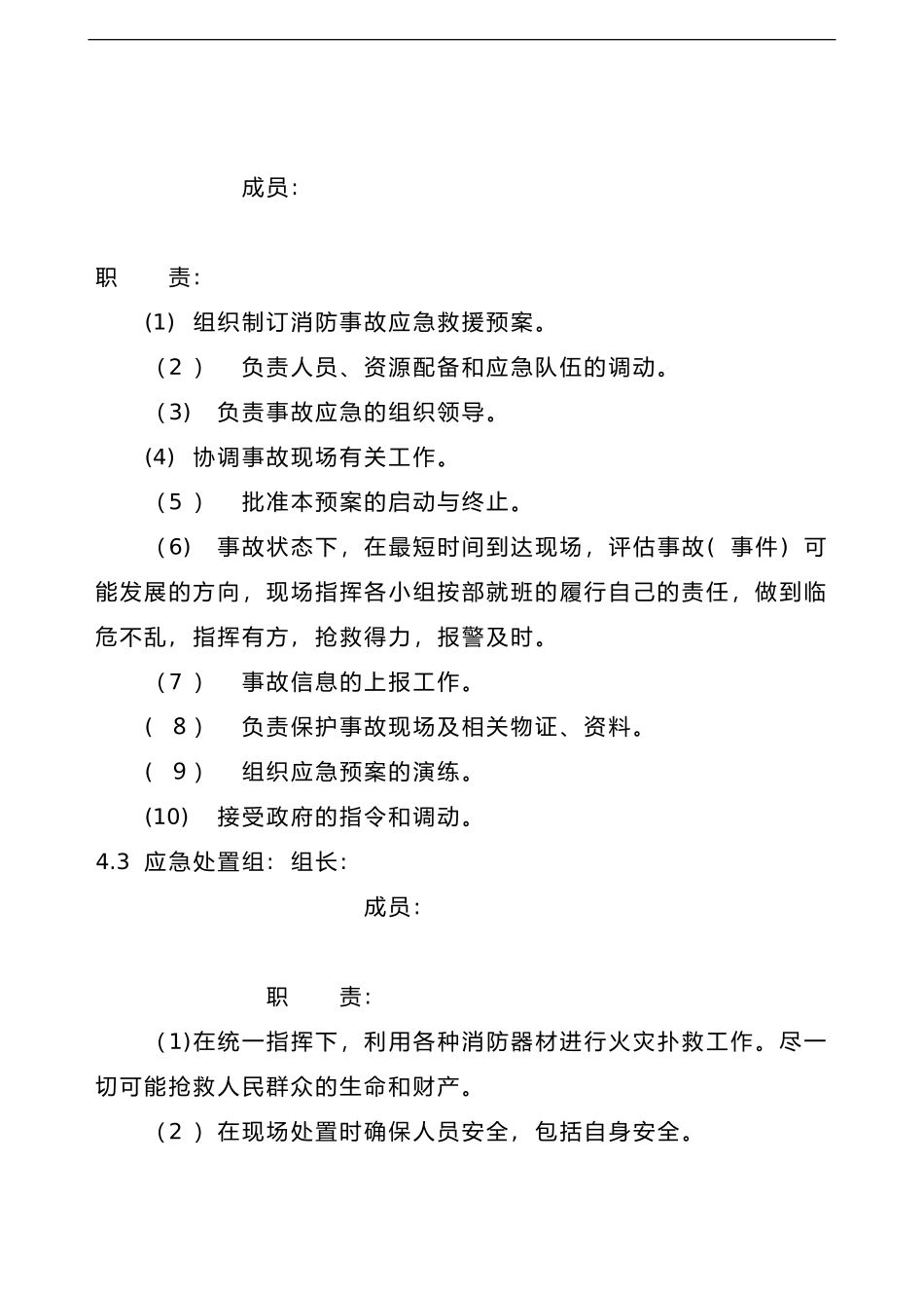 2024年消防安全专项应急救援预案_第3页