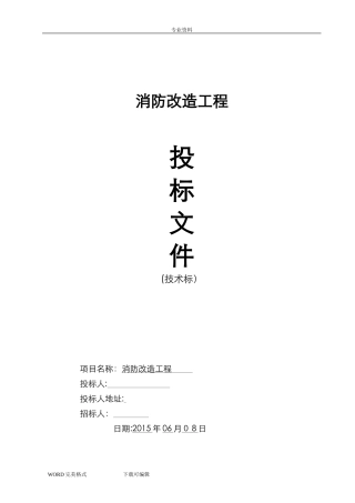2024年消防工程投标_技术标