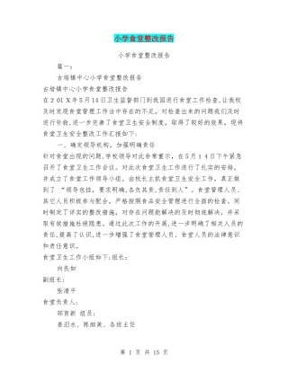 2024年小学食堂整改报告