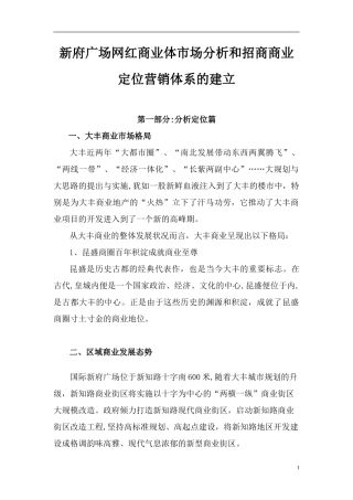 2024年新府广场网红商业体市场分析和招商商业定位营销体系的建立
