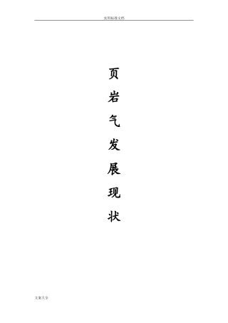 2024年岩气国内外发展现状