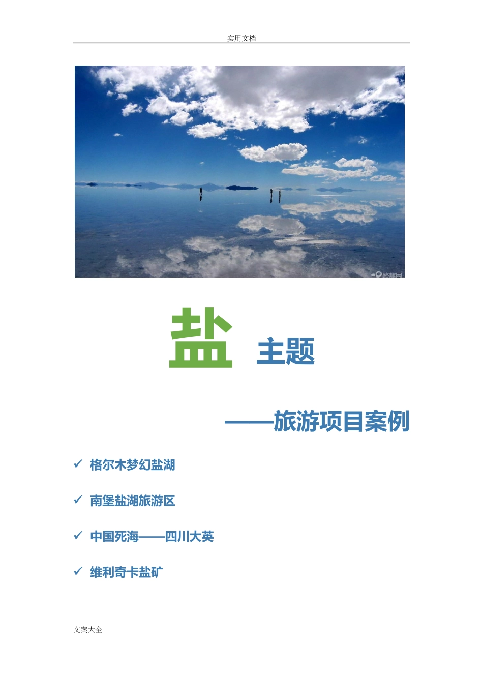 2024年盐文化旅游项目案例_第1页