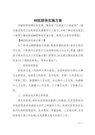 2024年医联体实施方案