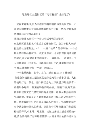 2024年这些爆红主题街区的运营秘籍全在这了