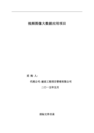 2024年智慧城市视频图像大数据项目招标文件撰写实例