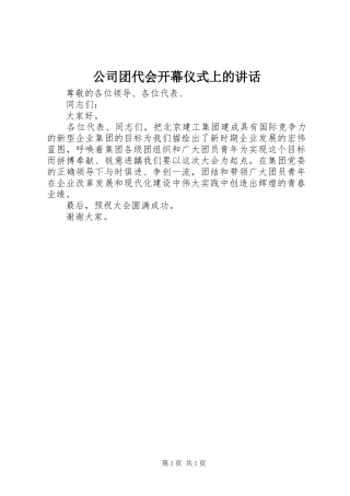 2024年公司团代会开幕仪式上的致辞