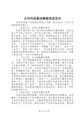 2024年公司向县委巡察做表态讲话