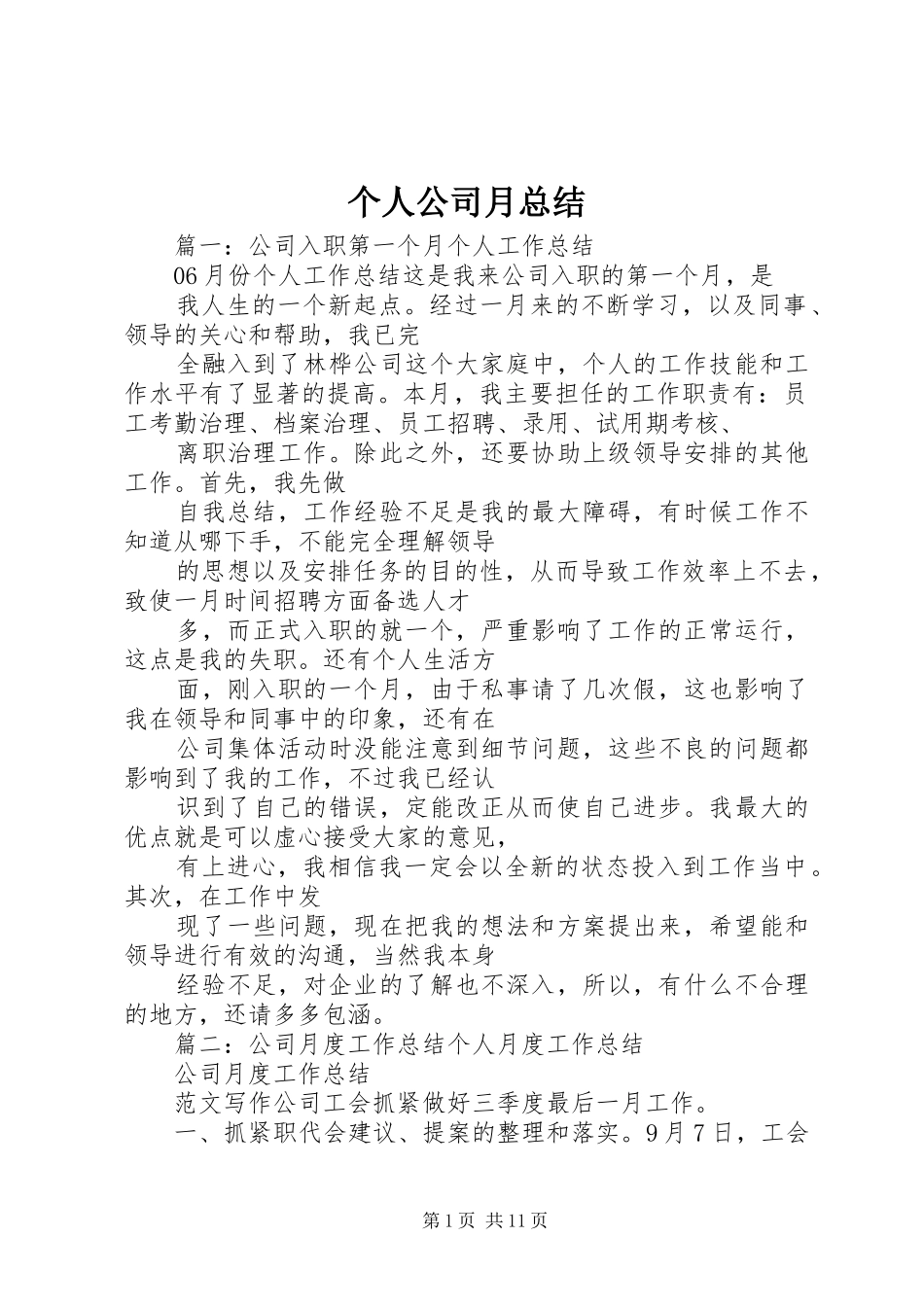 2024年个人公司月总结_第1页