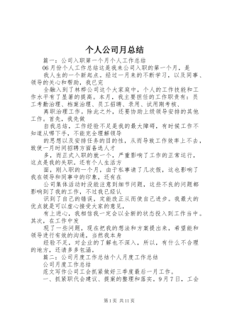 2024年个人公司月总结
