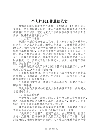 2024年个人挂职工作总结范文