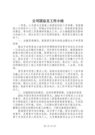 2024年公司团总支工作小结