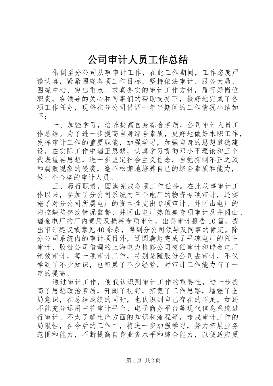2024年公司审计人员工作总结_第1页