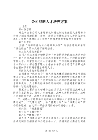 2024年公司战略人才培养方案