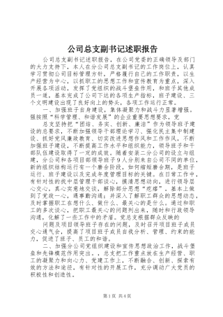 2024年公司总支副书记述职报告