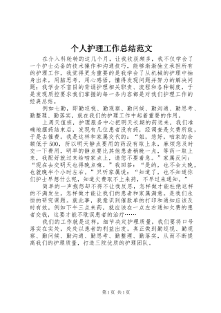 2024年个人护理工作总结范文