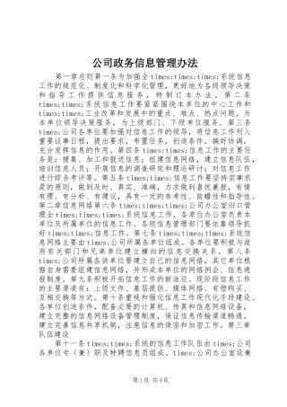 2024年公司政务信息管理办法