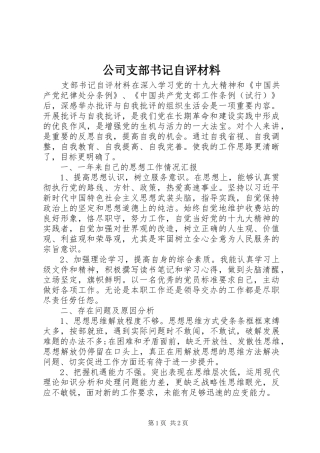 2024年公司支部书记自评材料