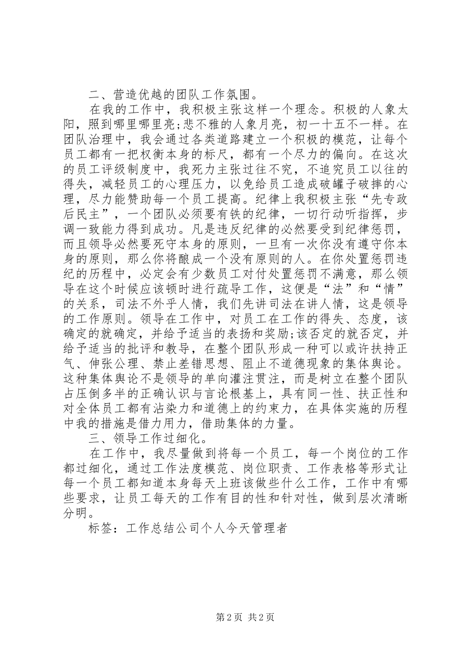 2024年公司治理者个人工作总结_第2页