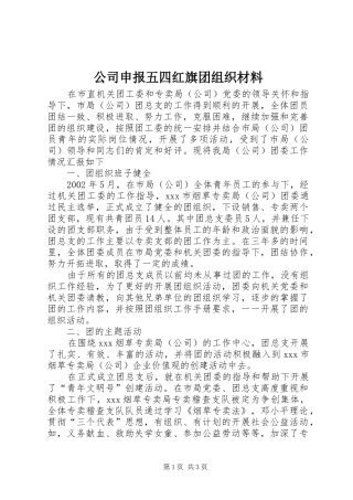 2024年公司申报五四红旗团组织材料