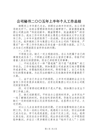 2024年公司秘书二五年上半年个人工作总结