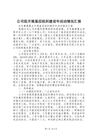 2024年公司组开展基层组织建设年活动情况汇报