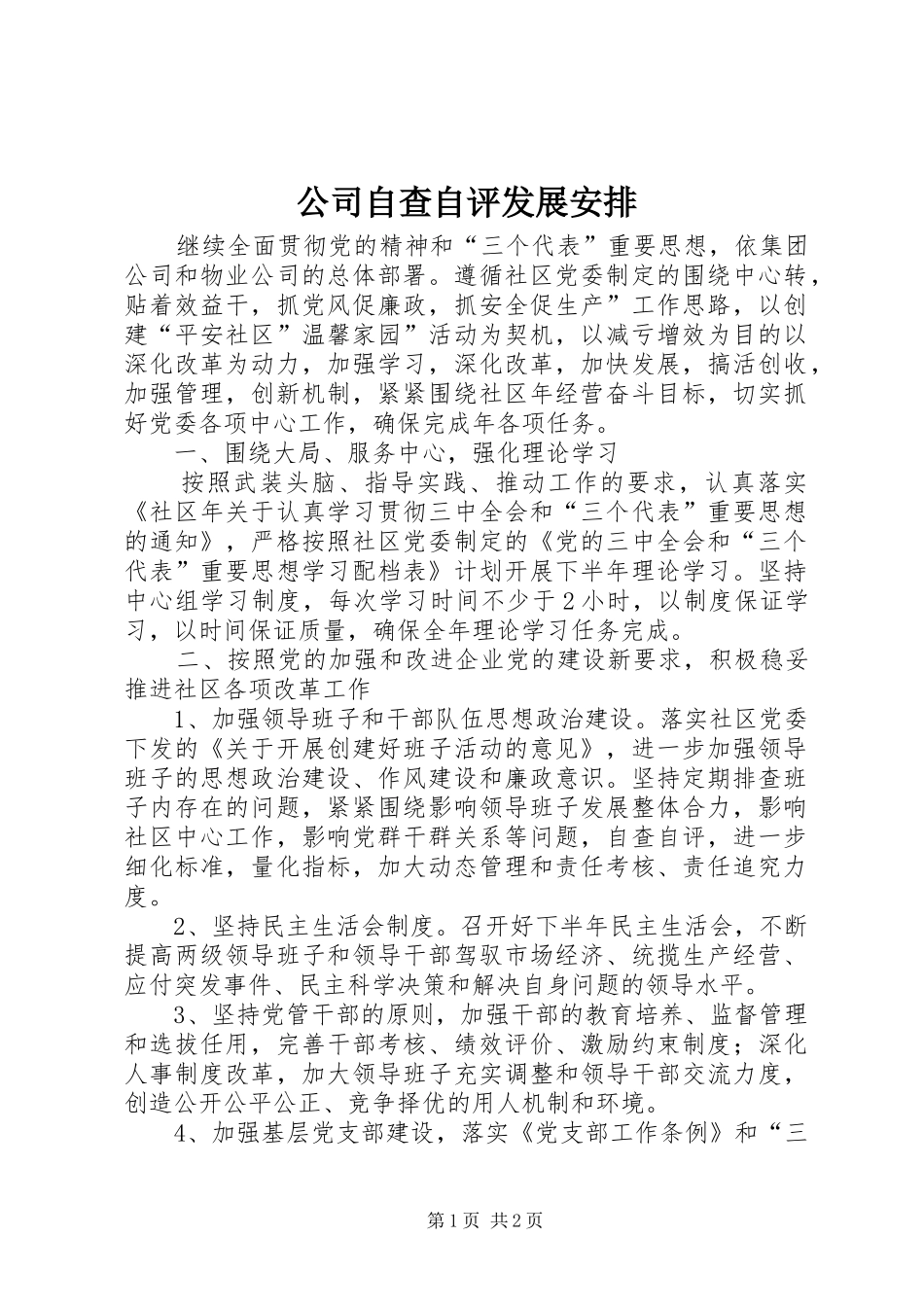 2024年公司自查自评发展安排_第1页