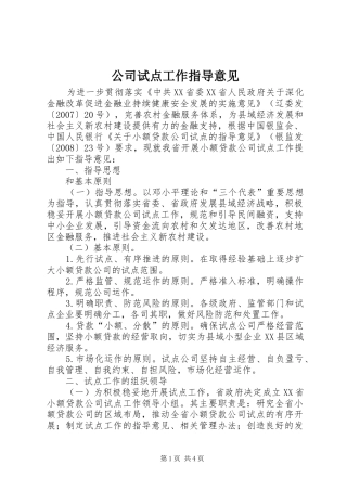 2024年公司试点工作指导意见