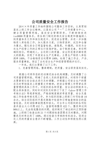 2024年公司质量安全工作报告