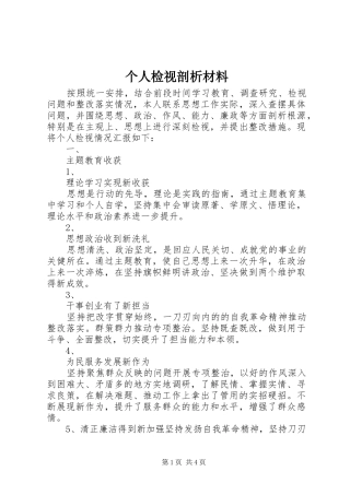 2024年个人检视剖析材料