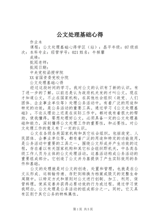 2024年公文处理基础心得
