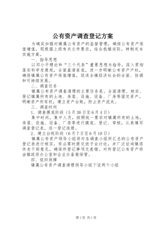 2024年公有资产调查登记方案