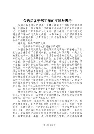 2024年公选后备干部工作的实践与思考