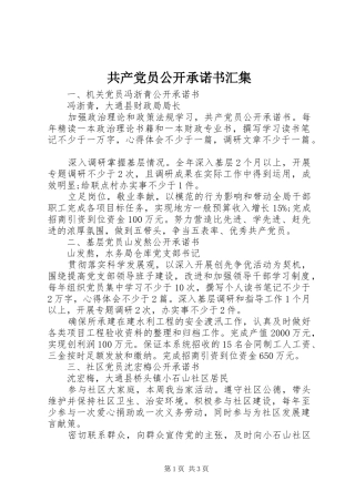 2024年共产党员公开承诺书汇集