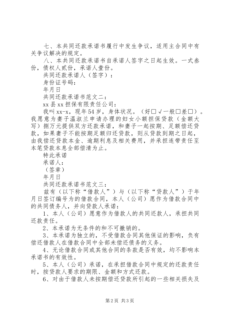 2024年共同还款人承诺书_第2页