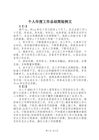 2024年个人年度工作总结简短例文