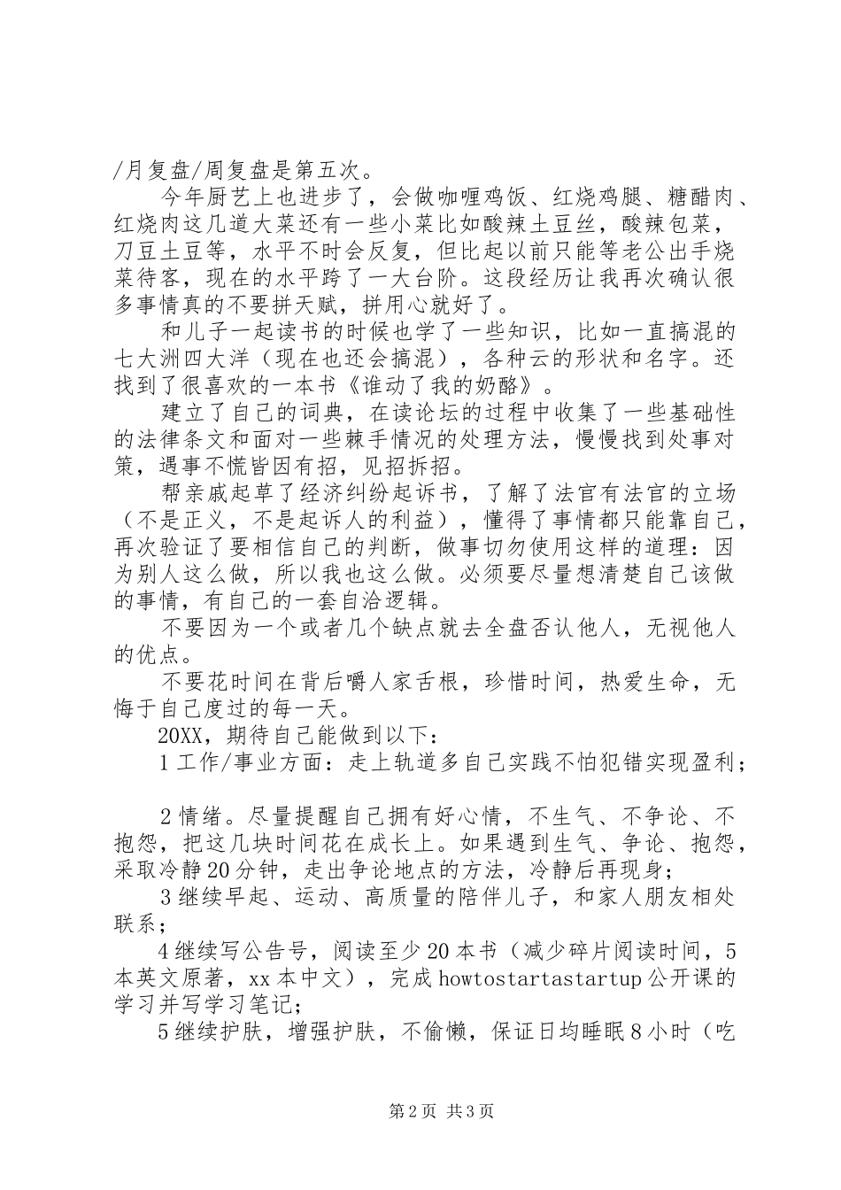 2024年个人年度工作总结与计划_第2页