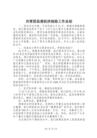 2024年共青团县委抗洪抢险工作总结