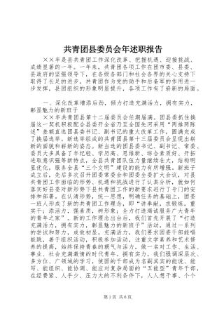 2024年共青团县委员会年述职报告