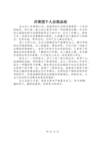 2024年共青团个人自我总结