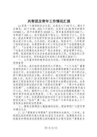 2024年共青团及青年工作情况汇报