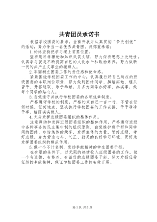 2024年共青团员承诺书