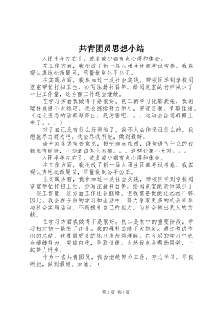 2024年共青团员思想小结