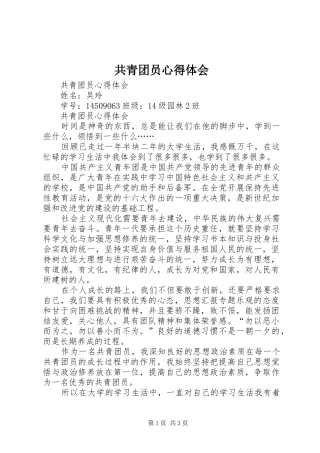 2024年共青团员心得体会