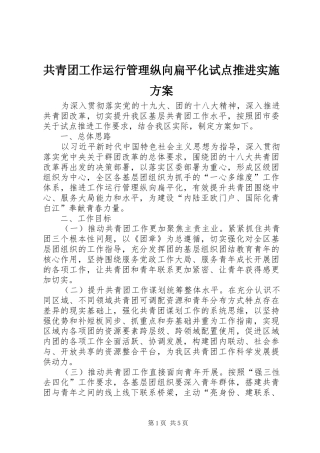 2024年共青团工作运行管理纵向扁平化试点推进实施方案